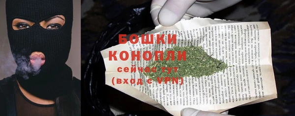 ECSTASY Белокуриха