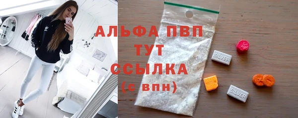ECSTASY Белокуриха