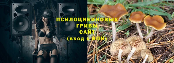 ECSTASY Белокуриха