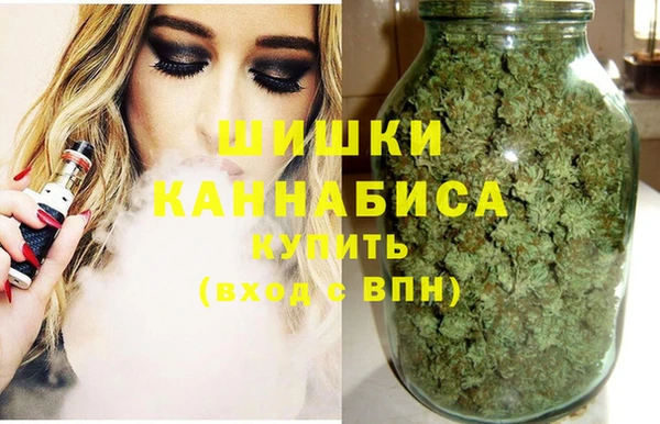 гидропоника Богданович