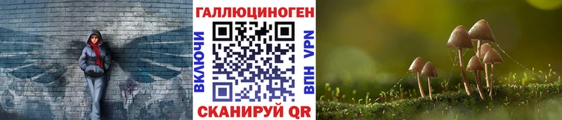 Псилоцибиновые грибы Cubensis  ОМГ ОМГ зеркало  Комсомольск 